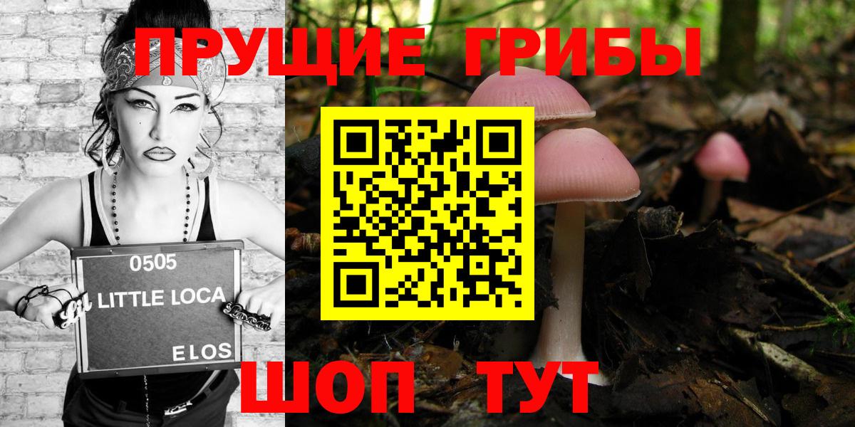 Галлюциногенные грибы прущие грибы  Псилоцибиновые грибы ЛСД  Вход с VPN  где продают   Лабинск 